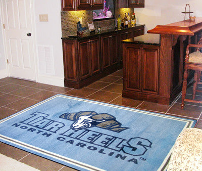 North Carolina Tar Heels 4X6 Rug